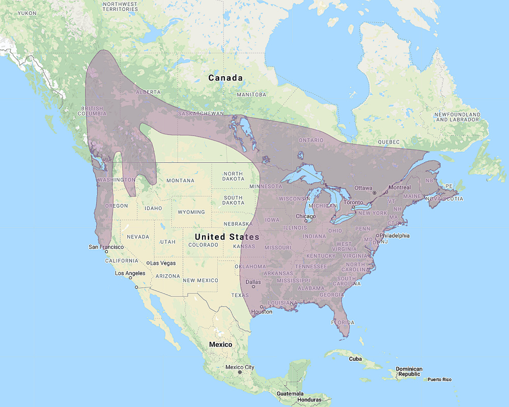 Range of Barred Owl (Strix varia)