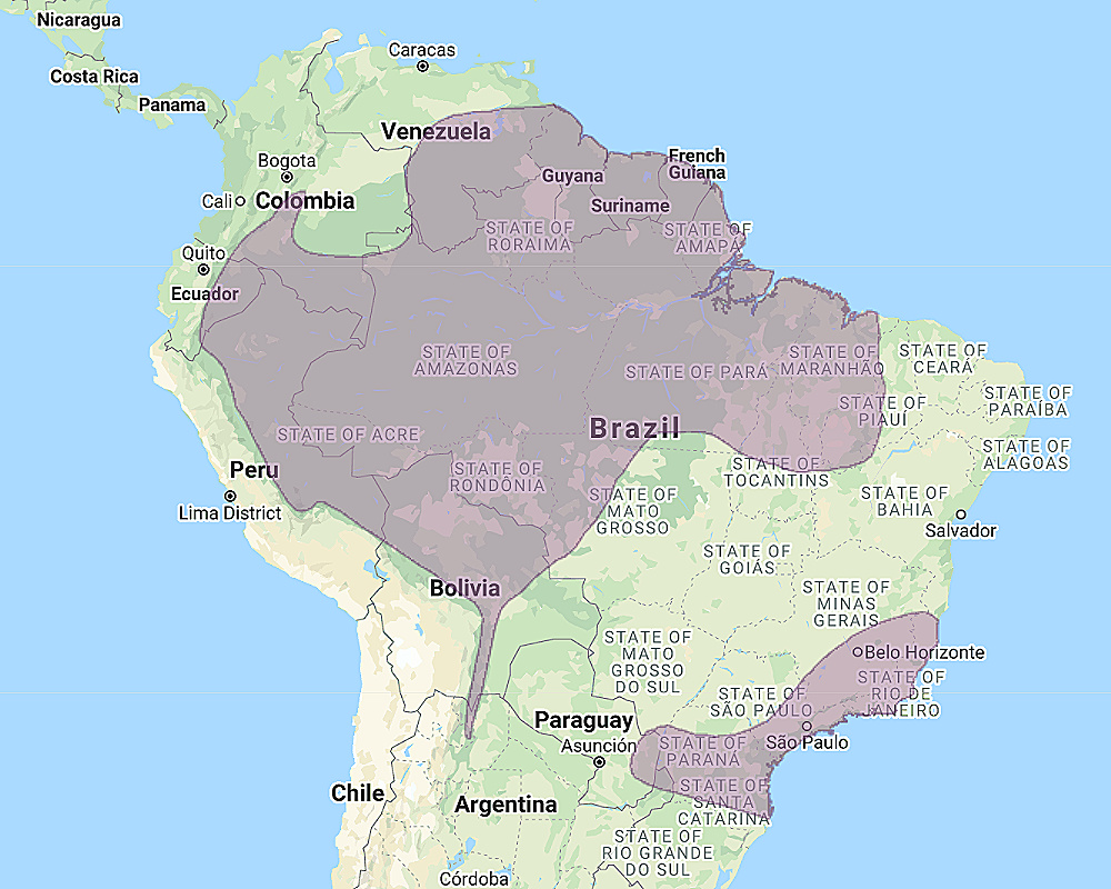 Range of Black-banded Owl (Strix huhula)