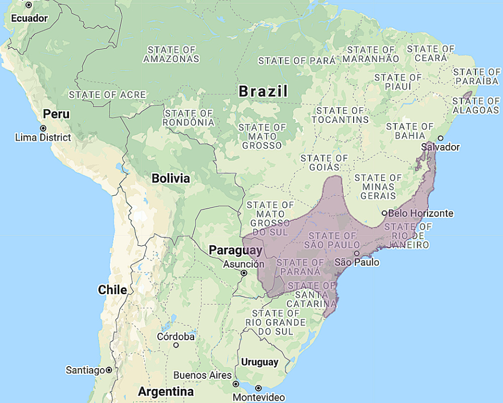 Range of Black-capped Screech Owl (Megascops atricapilla)