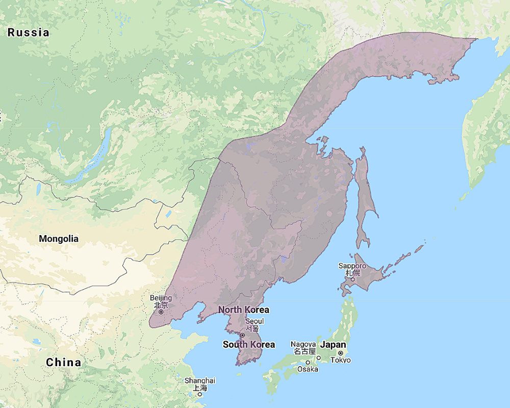 Range of Blakiston's Fish Owl (Bubo blakistoni)