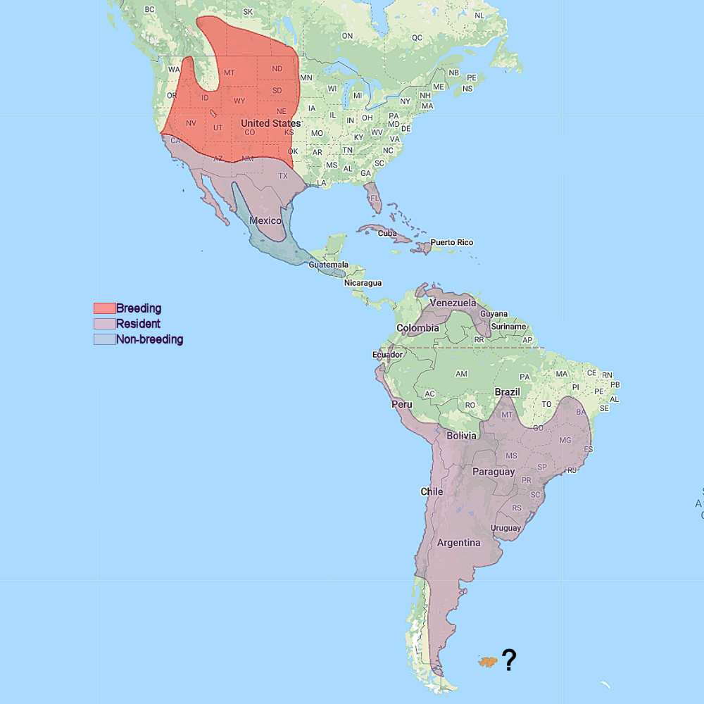 Range of Burrowing Owl (Athene cunicularia)