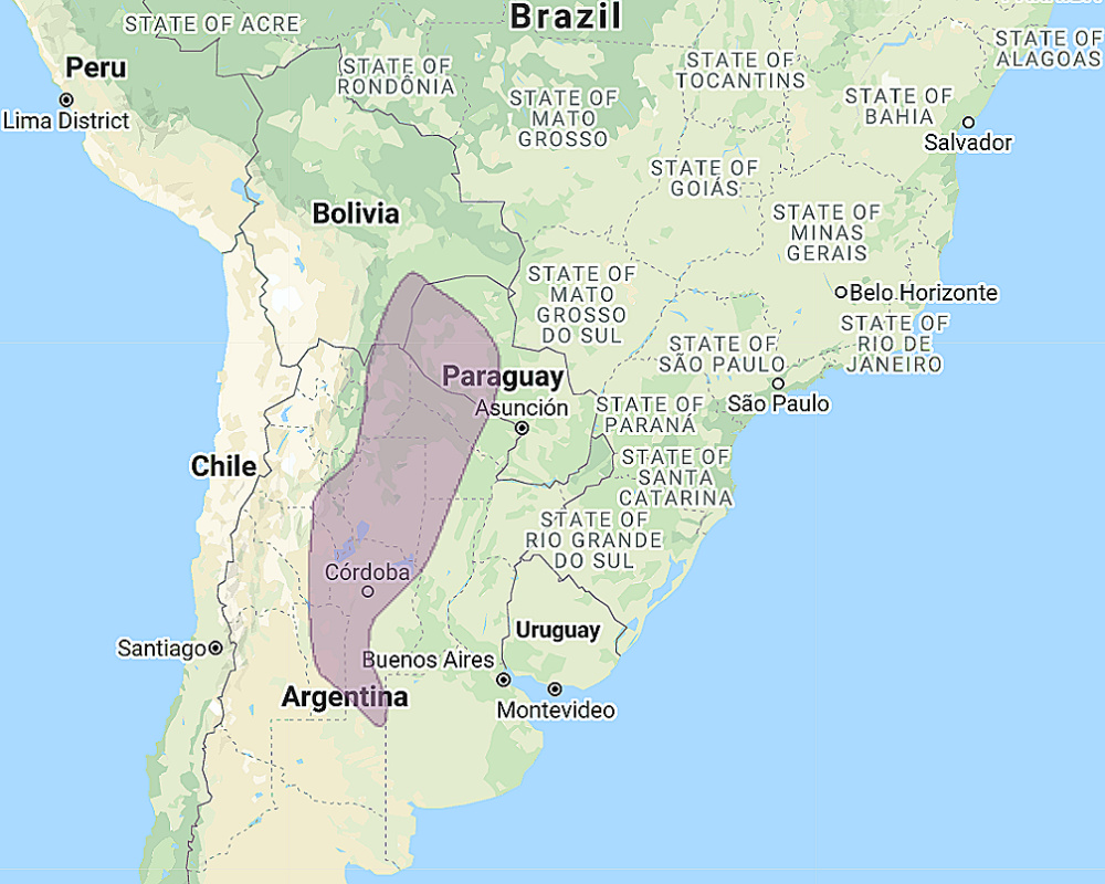 Range of Chaco Owl (Strix chacoensis)