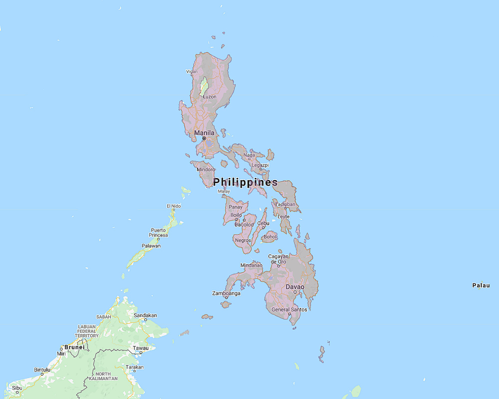 Range of Chocolate Boobook (Ninox randi)