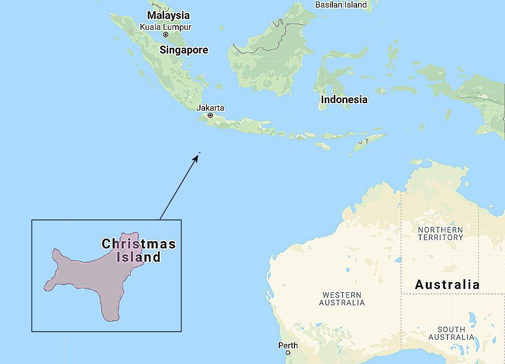 Range of Christmas Boobook (Ninox natalis)