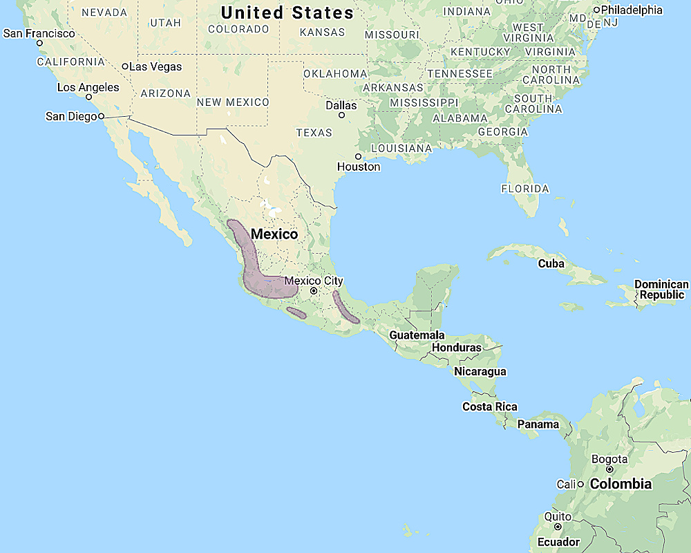 Range of Cinereous Owl (Strix sartorii)