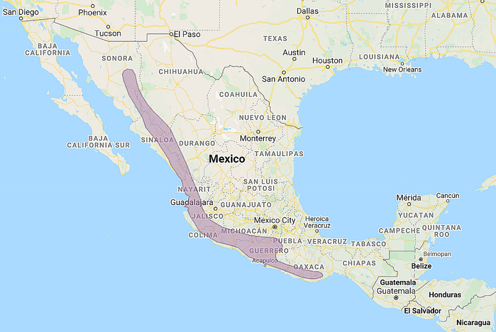 Range of Colima Pygmy Owl (Glaucidium palmarum)