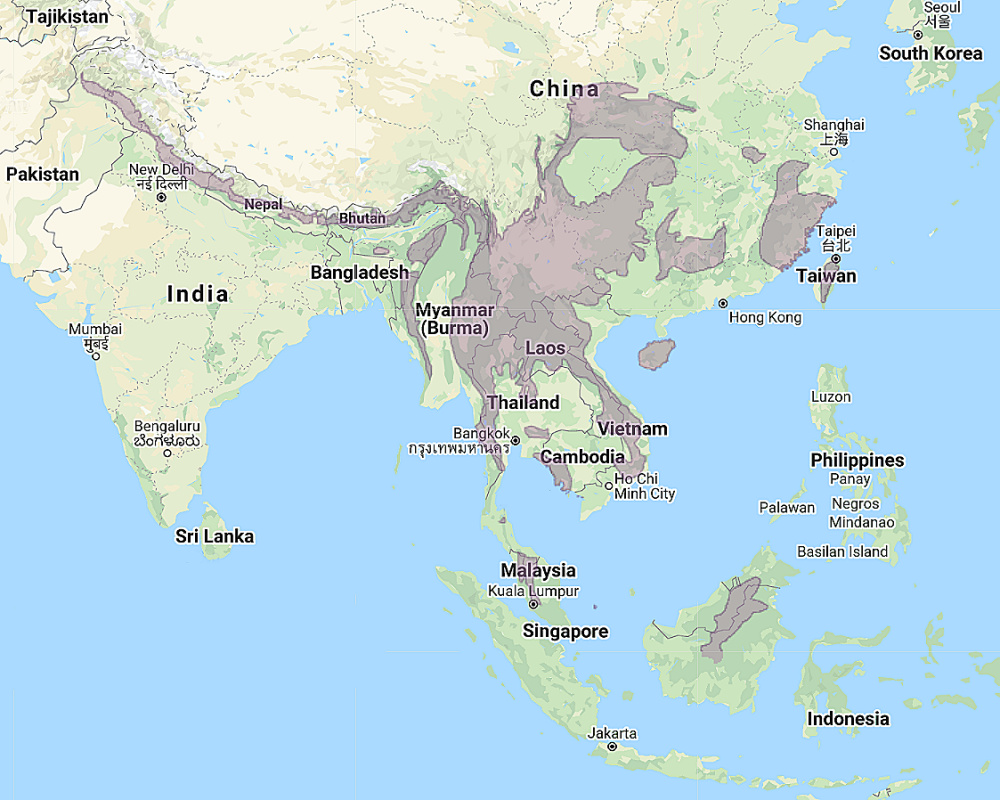 Range of Collared Owlet (Glaucidium brodiei)