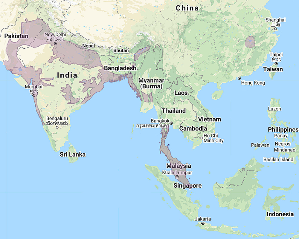 Range of Dusky Eagle Owl (Bubo coromandus)