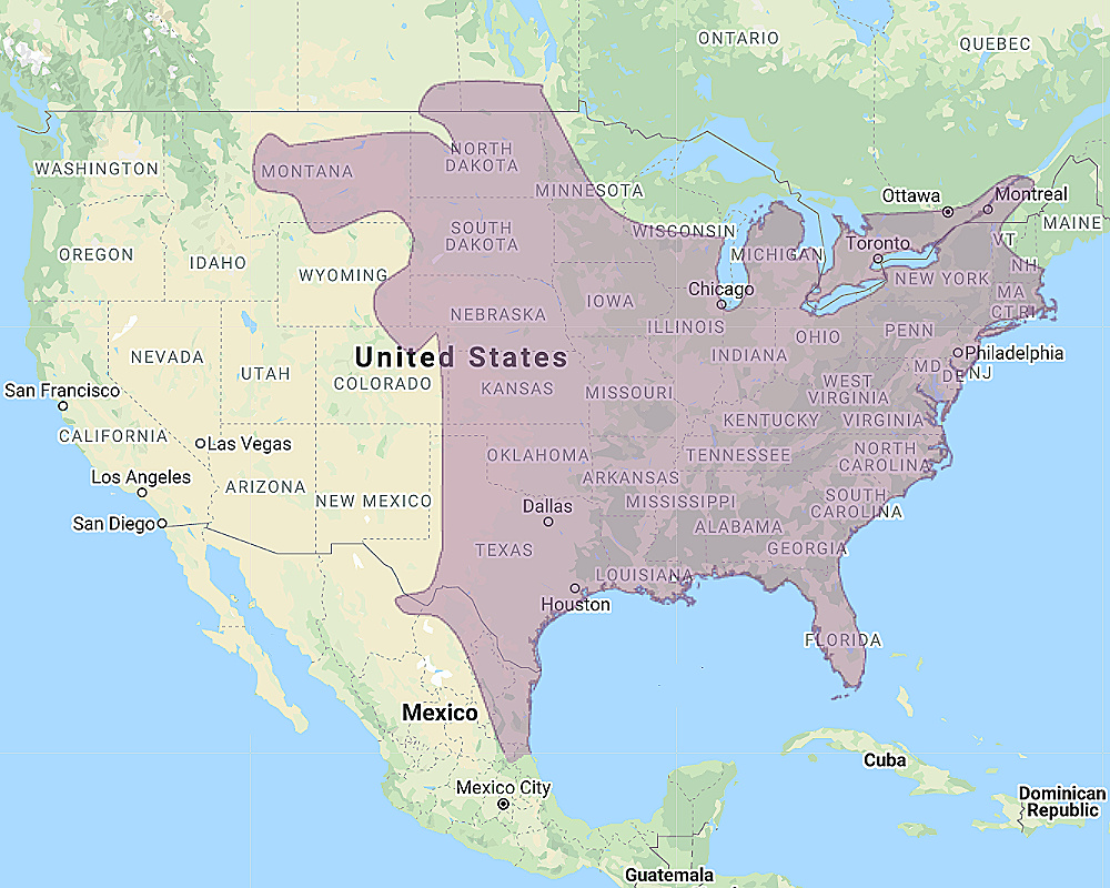 Range of Eastern Screech Owl (Megascops asio)