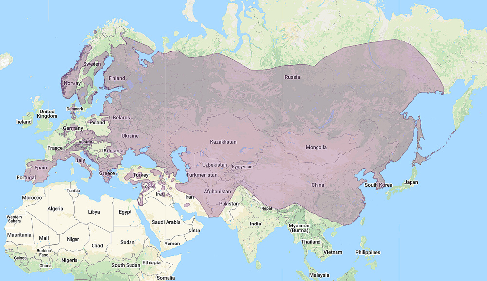 Range of Eurasian Eagle Owl (Bubo bubo)