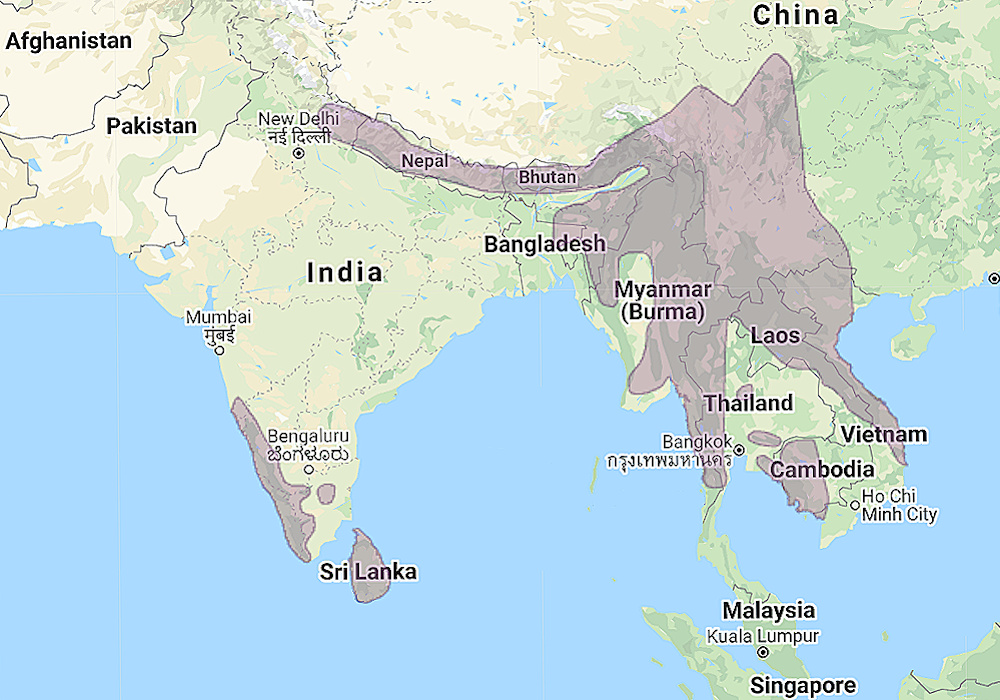 Range of Forest Eagle Owl (Bubo nipalensis)