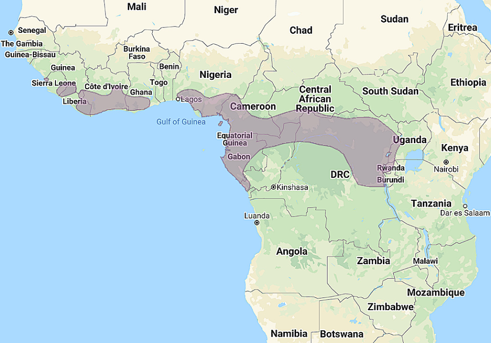 Range of Fraser's Eagle Owl (Bubo poensis)