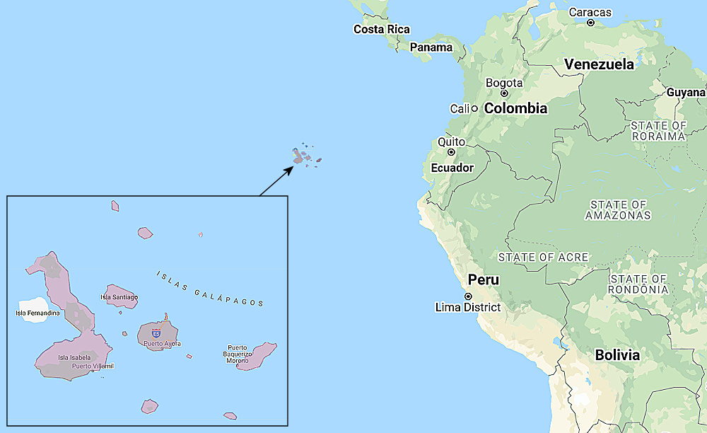 Range of Galápagos Short-eared Owl (Asio galapagoensis)