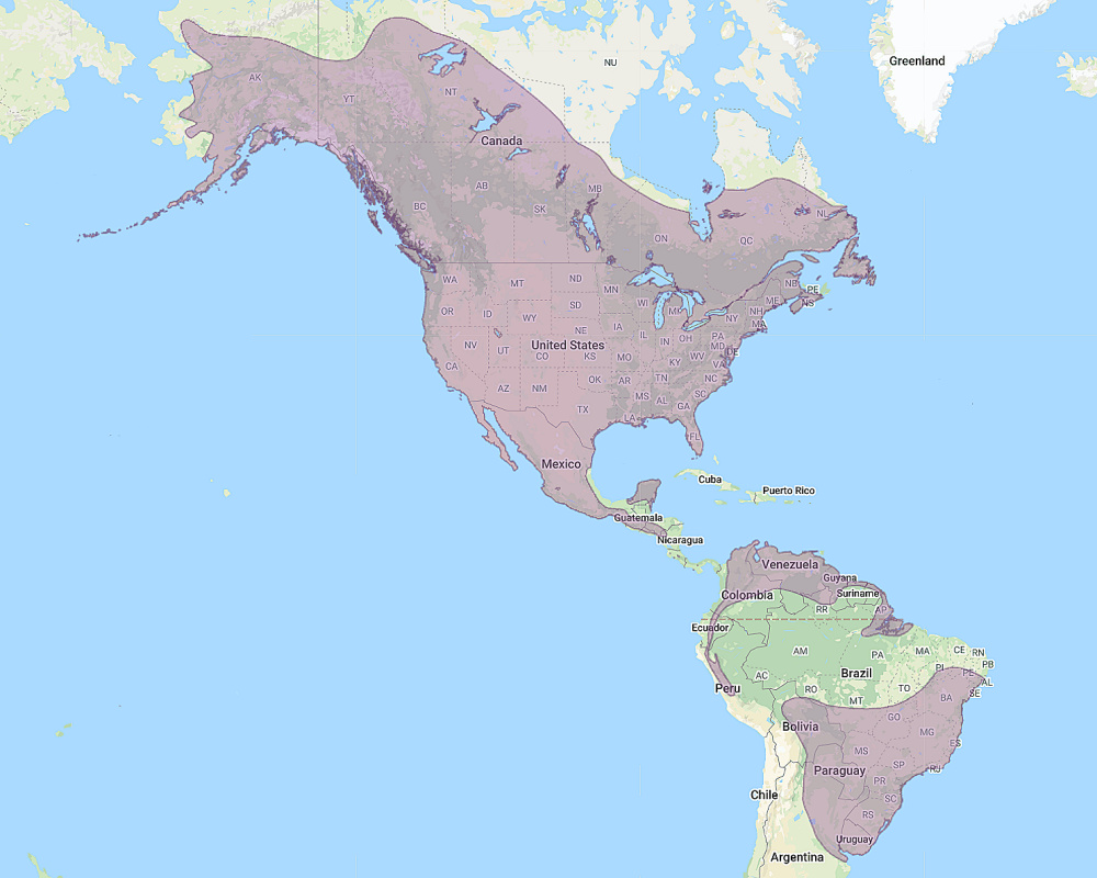 Range of Great Horned Owl (Bubo virginianus)