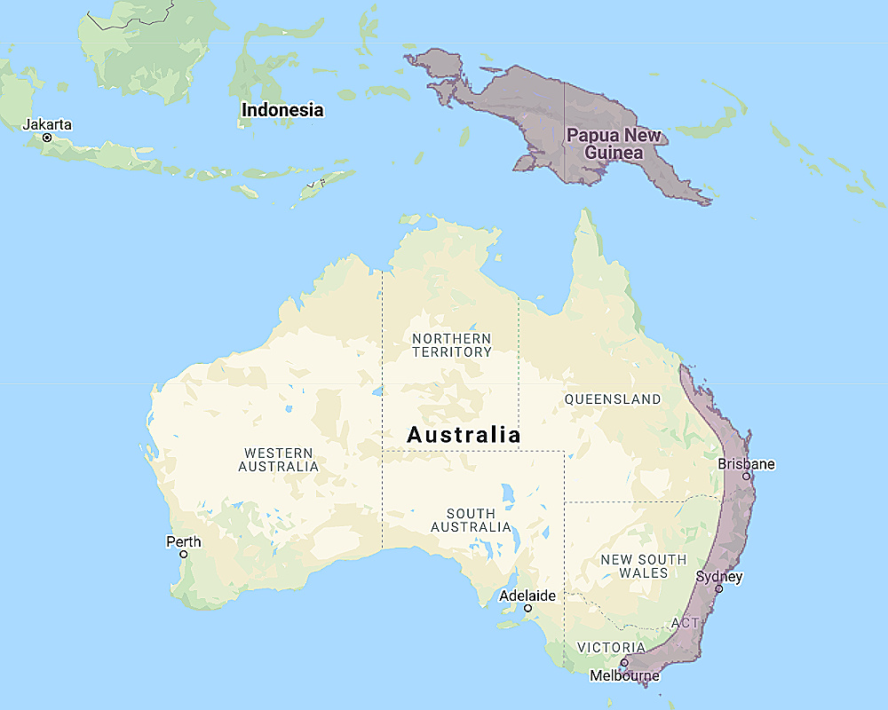 Range of Greater Sooty Owl (Tyto tenebricosa)