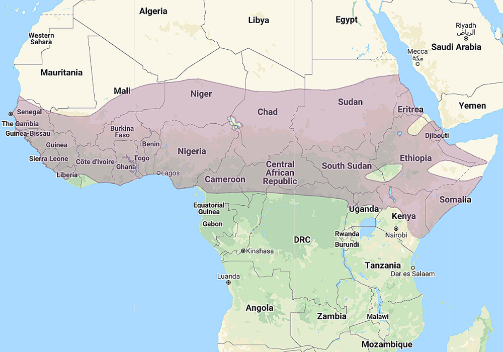 Range of Greyish Eagle Owl (Bubo cinerascens)