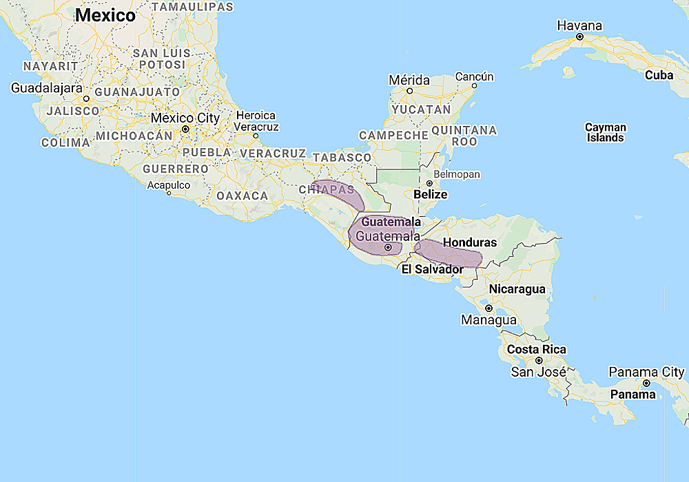 Range of Guatemalan Pygmy Owl (Glaucidium cobanense)