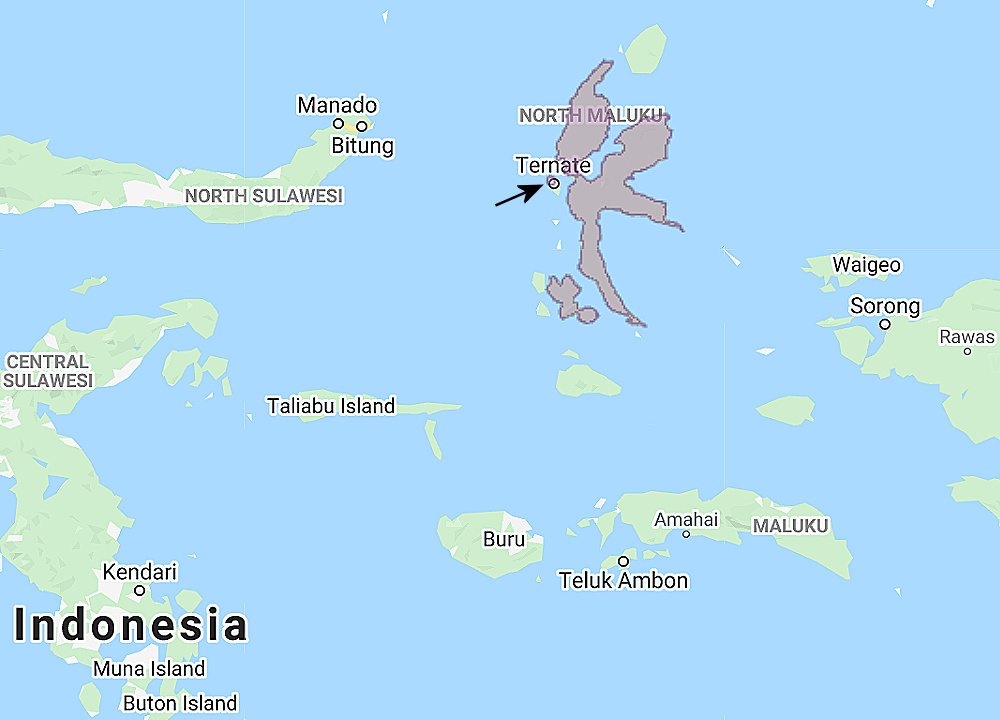 Range of Halmahera Boobook (Ninox hypogramma)