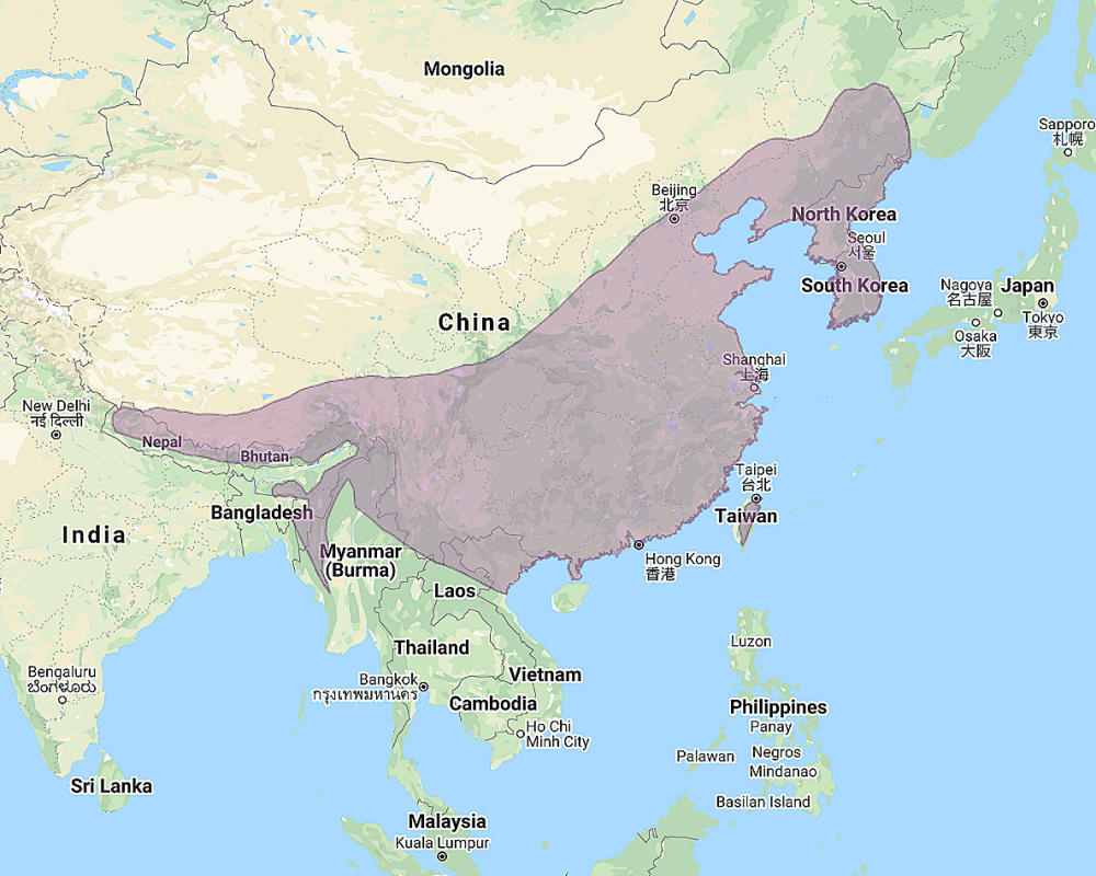 Range of Himalayan Wood Owl (Strix nivicolum)