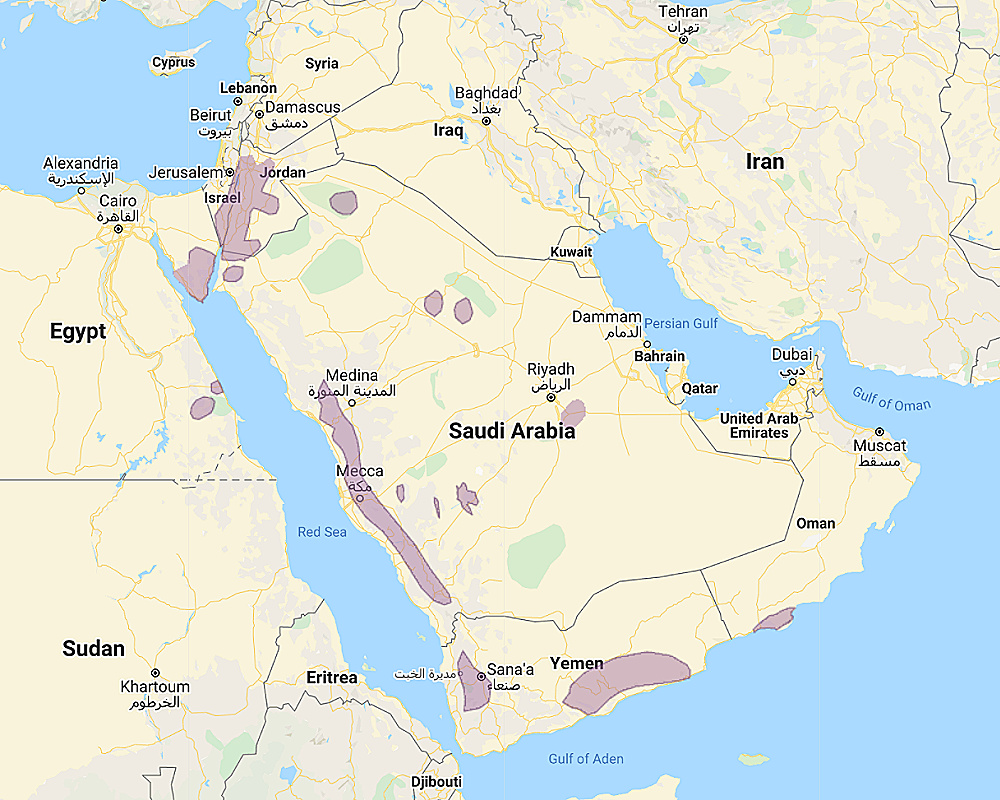 Range of Desert Owl (Strix hadorami)