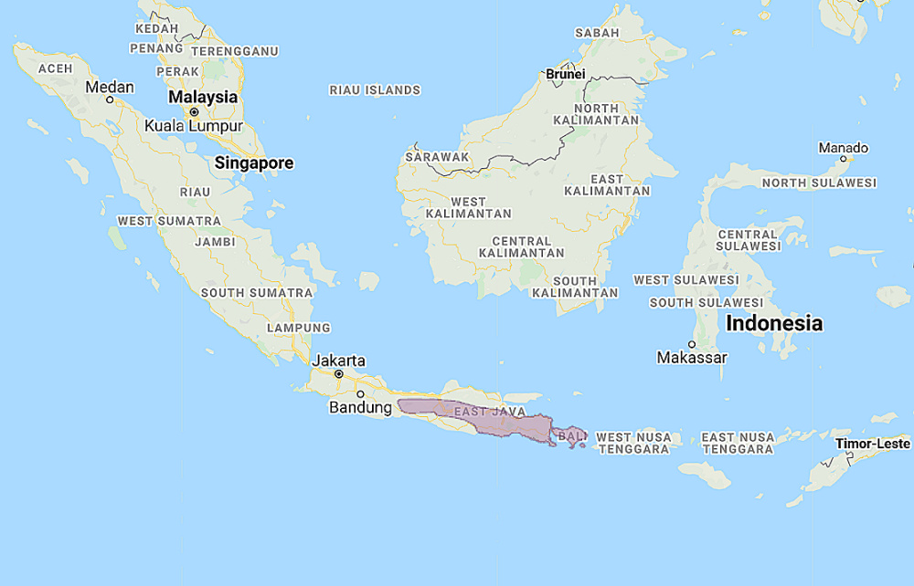 Range of Javan Owlet (Glaucidium castanopterum)