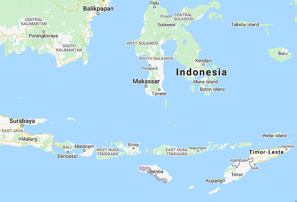 Range of Little Sumba Hawk Owl (Ninox sumbaensis)