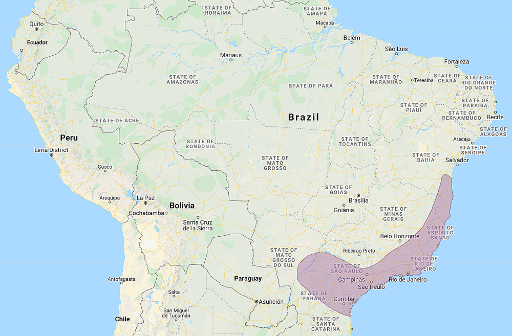 Range of Least Pygmy Owl (Glaucidium minutissimum)