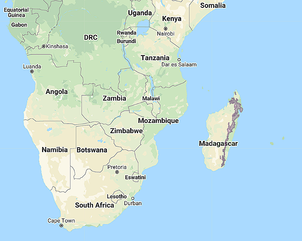 Range of Madagascar Red Owl (Tyto soumagnei)