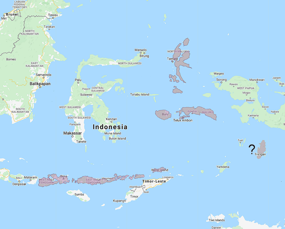 Range of Moluccan Scops Owl (Otus magicus)