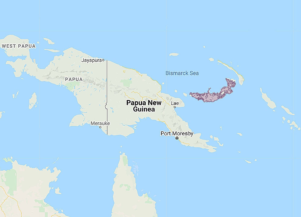 Range of New Britain Boobook (Ninox odiosa)