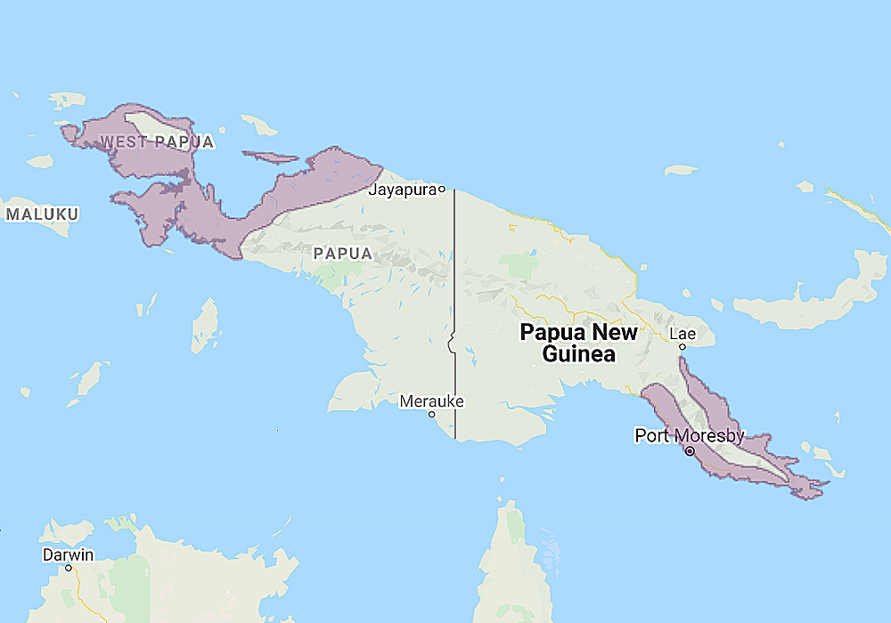 Range of Papuan Hawk Owl (Uroglaux dimorpha)