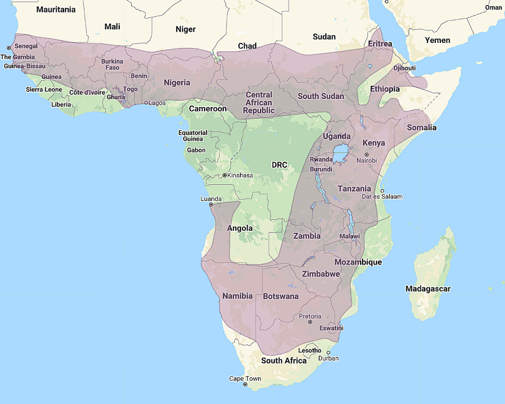 Range of Pearl-spotted Owlet (Glaucidium perlatum)