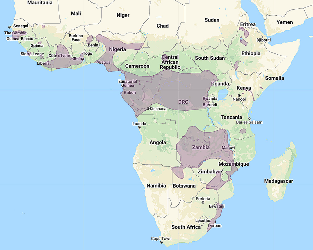 Range of Pel's Fishing Owl (Scotopelia peli)