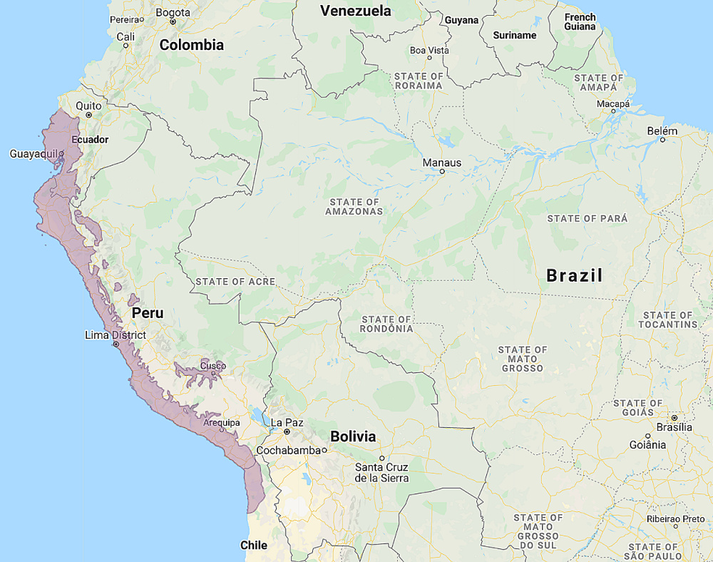 Range of Peruvian Pygmy Owl (Glaucidium peruanum)