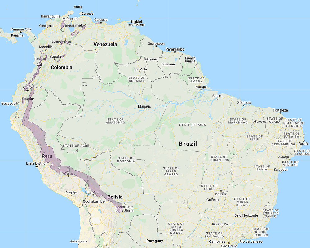 Range of Rufescent Screech Owl (Megascops ingens)