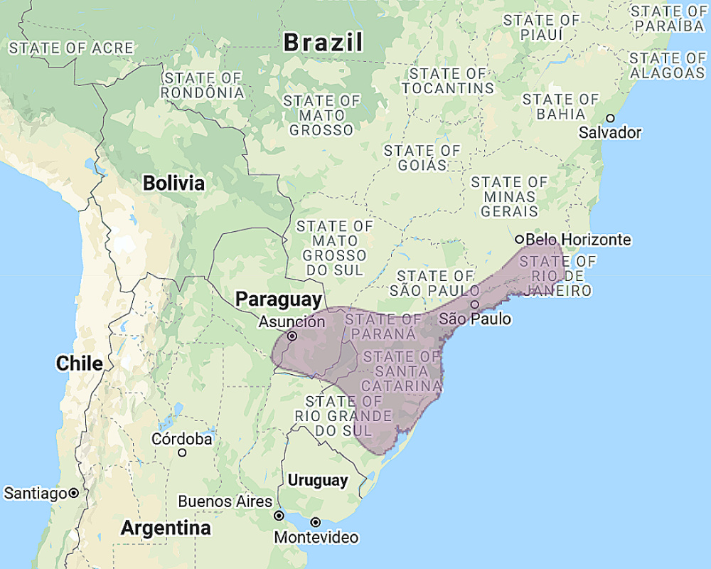 Range of Rusty-barred Owl (Strix hylophila)