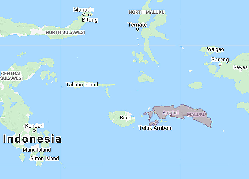 Range of Seram Boobook (Ninox squamipila)