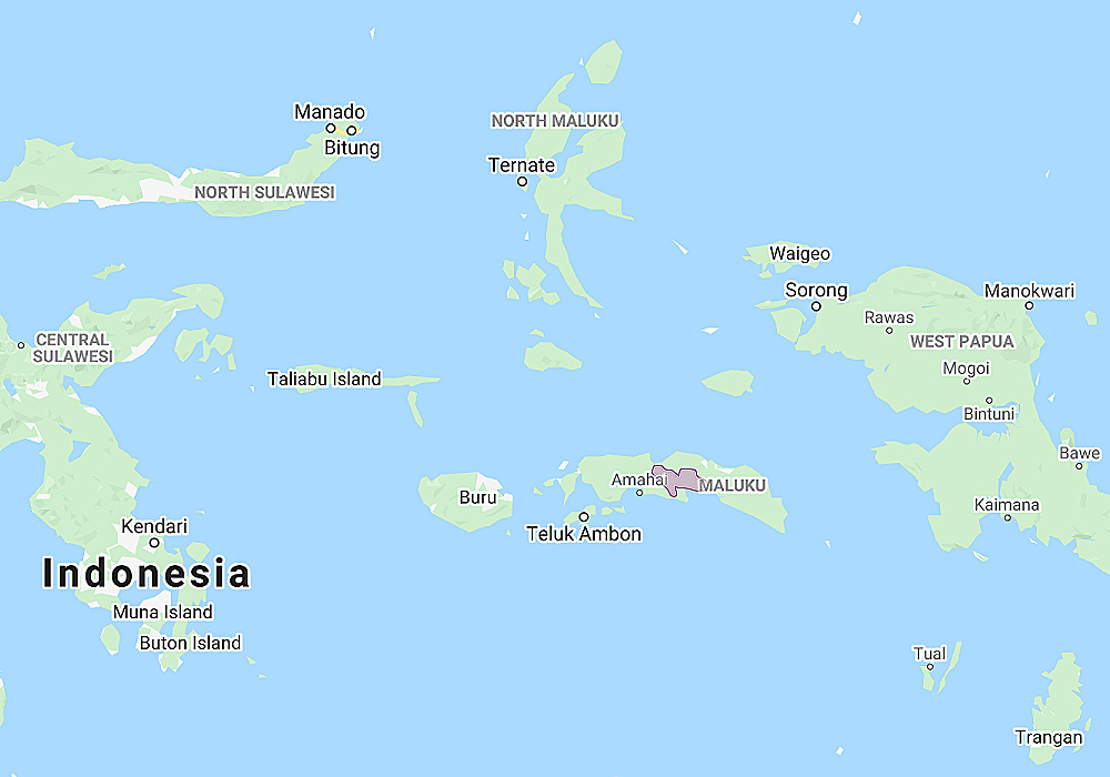 Range of Seram Masked Owl (Tyto almae)