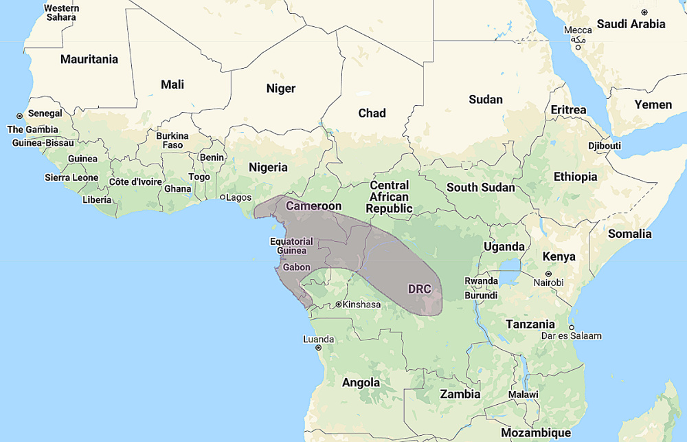 Range of Sjöstedt's Barred Owlet (Glaucidium sjostedti)