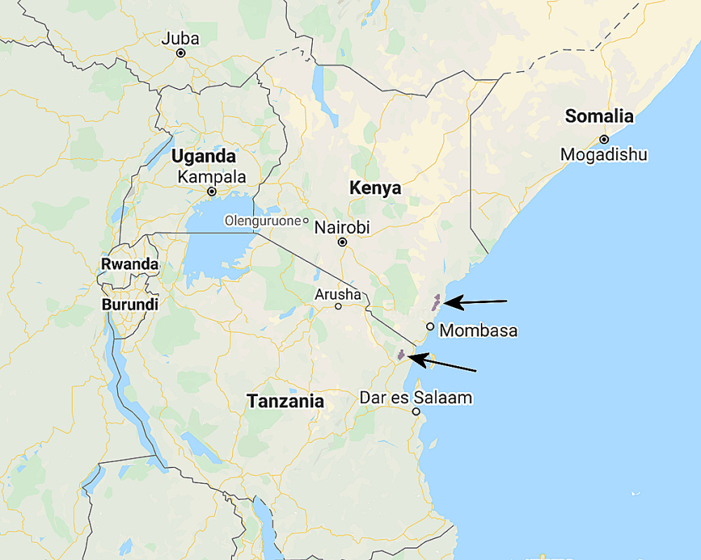 Range of Sokoke Scops Owl (Otus ireneae)