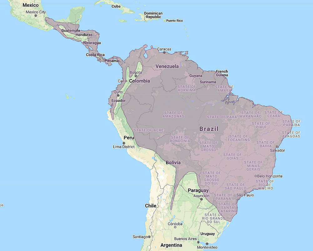 Range of Spectacled Owl (Pulsatrix perspicillata)