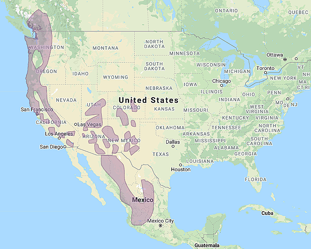 Range of Spotted Owl (Strix occidentalis)