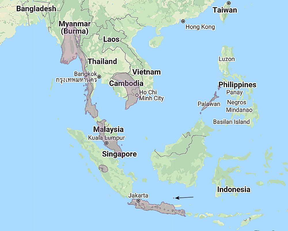 Range of Spotted Wood Owl (Strix seloputo)