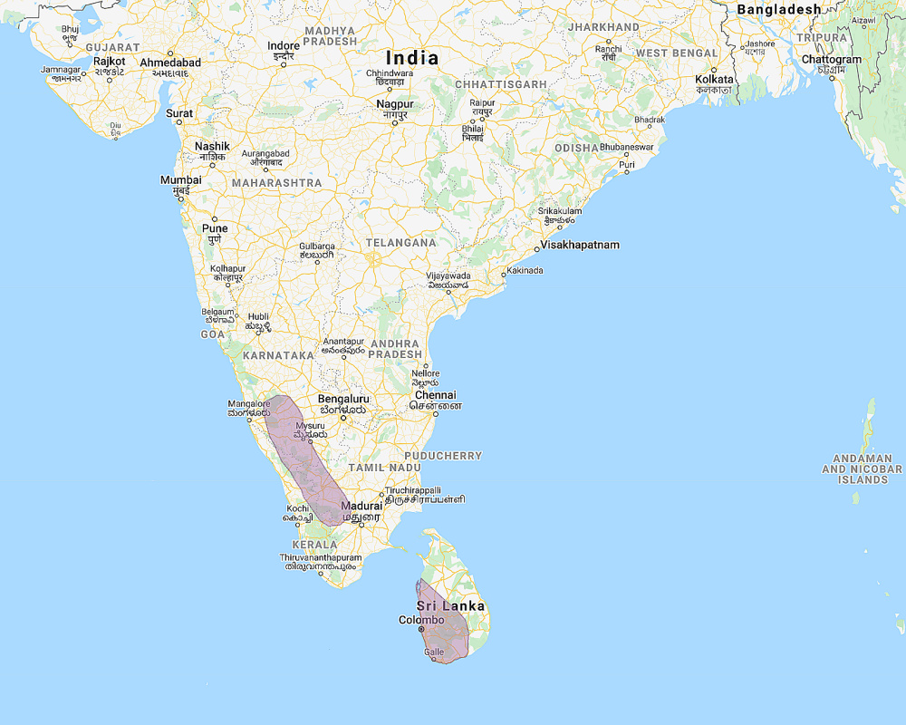 Range of Sri Lanka Bay Owl (Phodilus assimilis)