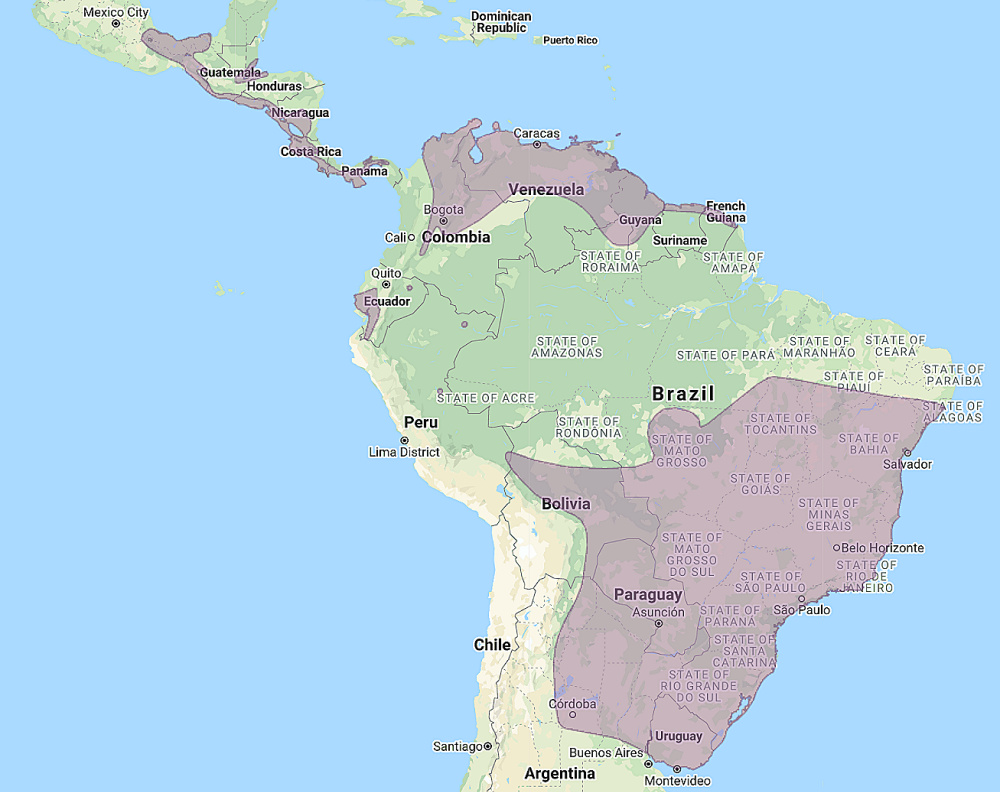 Range of Striped Owl (Asio clamator)