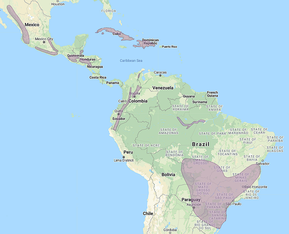 Range of Stygian Owl (Asio stygius)