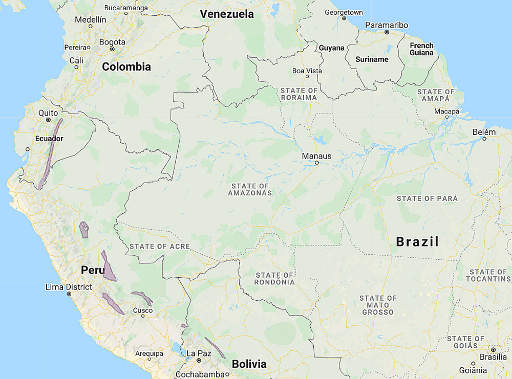 Range of Subtropical Pygmy Owl (Glaucidium parkeri)