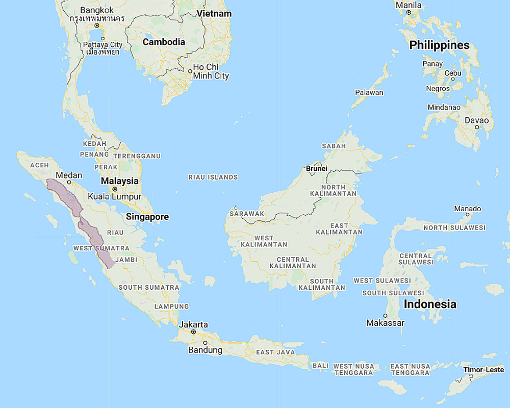 Range of Sunda Owlet (Glaucidium sylvaticum)