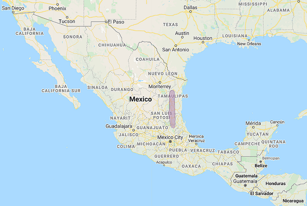 Range of Tamaulipas Pygmy Owl (Glaucidium sanchezi)