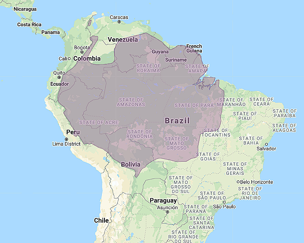 Range of Tawny-bellied Screech Owl (Megascops watsonii)